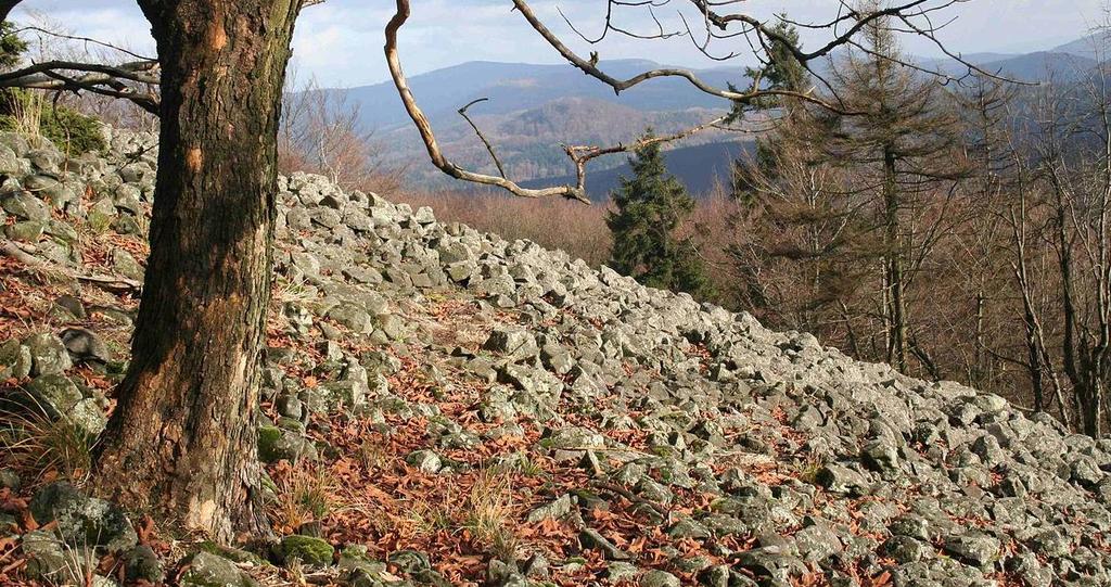 STUDENÝ VRCH Obr. 8-8. Studený vrch (foto: Björn Ehrlich, CC BY-SA 3.0) Studenec - Kaltenberg, Studený vrch, dosahující výšky 736,5 m 