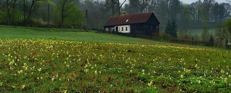 PEKELSKÝ DŮL Obr. 8-11. Pekelský důl (foto: Petr Bauer, http://labskepiskovce.ochranaprirody.cz) Předmětem ochrany je vlhká slatinná louka severně od České Kamenice v osadě PR Pekelský Důl.