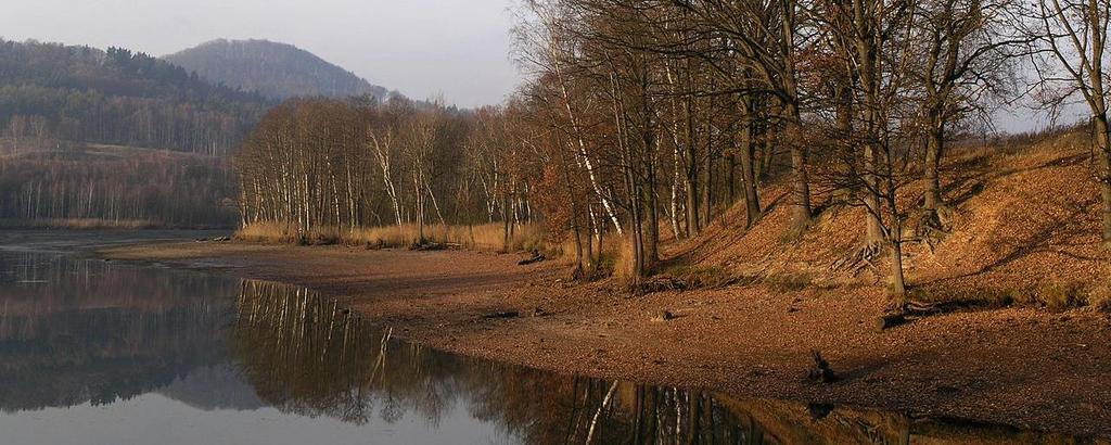 Jeho jméno bylo odvozeno od červenohnědého zbarvení vody, pocházející z přilehlých rašelinišť. Z rybníka vytéká Pihelský potok.