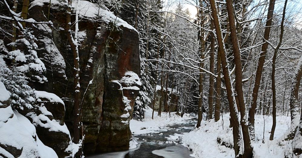 V důsledku mikroklimatických zvláštností se zde vyskytují chladnomilné horské druhy rostlin v nezvykle nízkých nadmořských výškách. Nachází se zde např.