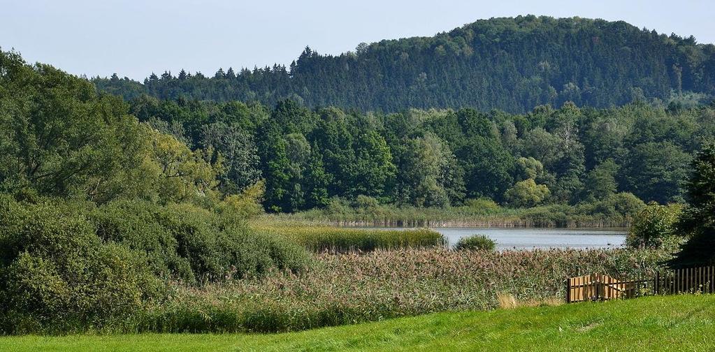 Rezervace také poskytuje útočiště různým živočichům. Vyskytuje se zde například kamzík horský, který byl nedaleko odtud vysazen na počátku 20. století.