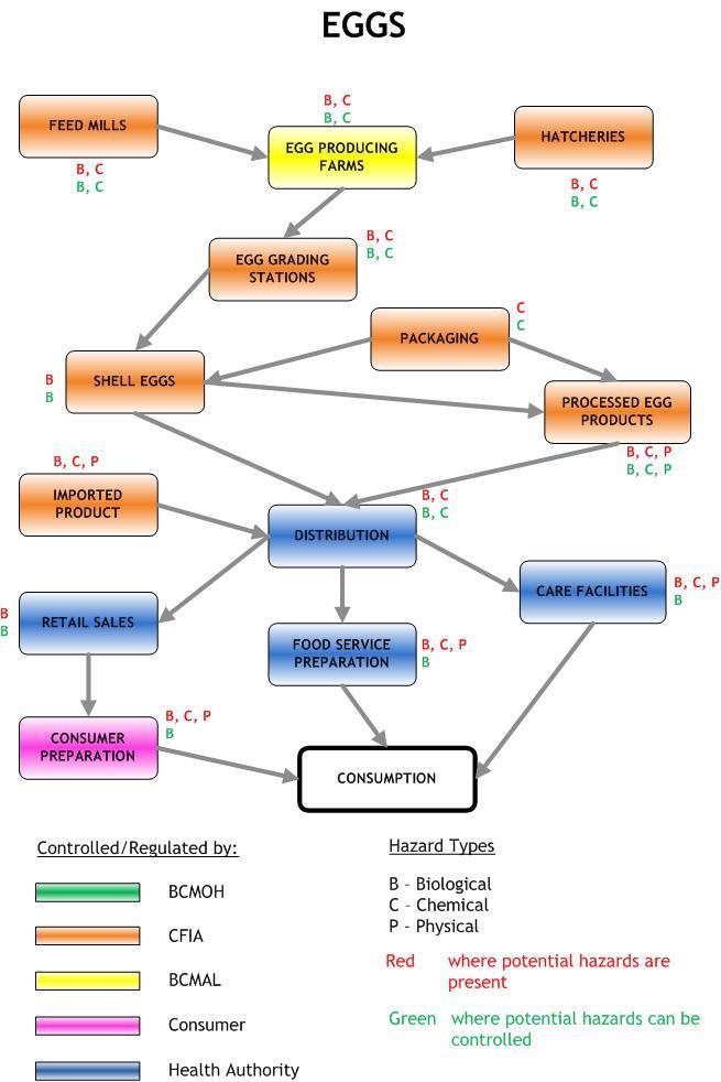 Application of HACCP http://www.bccdc.