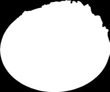 1100 g 1500 g