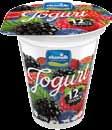 příchutě Hostex Jogurt