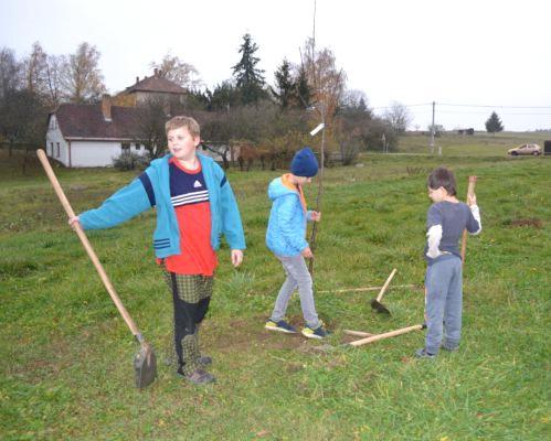 Stromky jsou očíslovány a opatřeny vizitkou mladých včelařů.