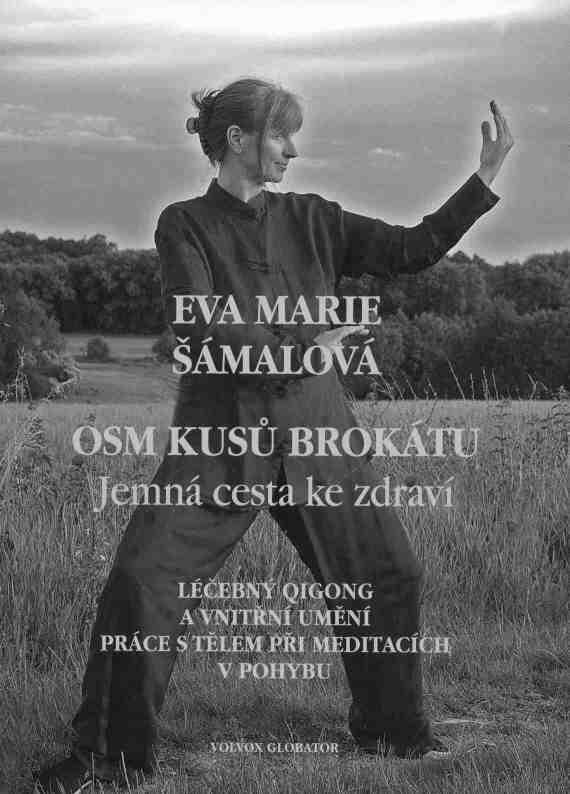 Banální historka je vyprávěna v 99 stylistických a jazykových obměnách (Váhavě, Subjektivně, Předpojatě, Vulgárně, Nešikovně, Balada, Alexandrín, Sonet, Baroko, Helénismy, Kondicionál, Geometricky,