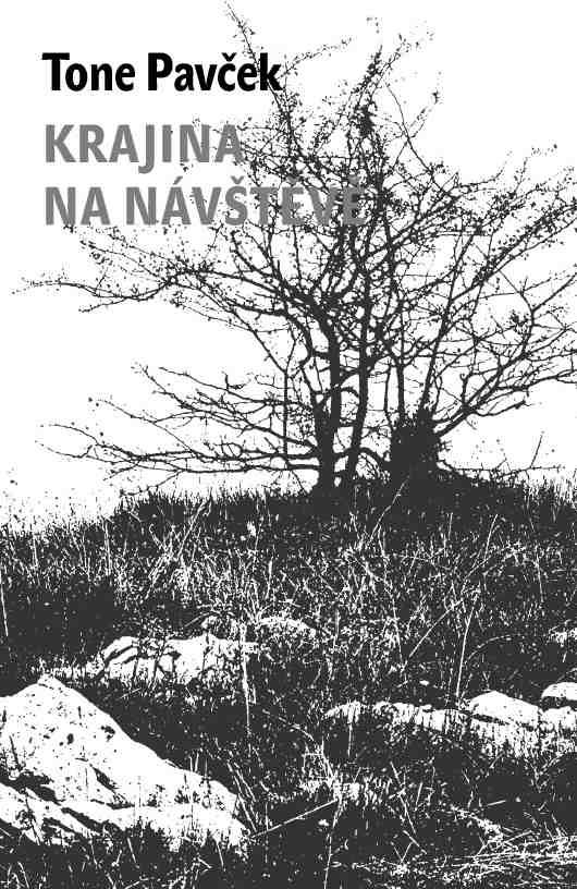 čtenářům dobře znám ze své předešlé knihy Filosofie koček, bajka naší doby.