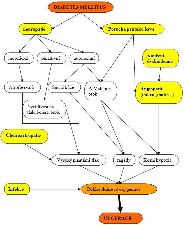 Obr. 5 Etiopatogeneze diabetické nohy 2.