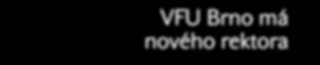 univerzity Brno 1