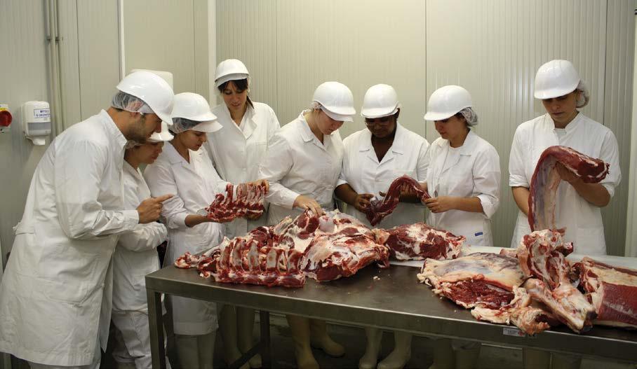 Praktická výuka na Fakultě veterinární hygieny a ekologie Laboratoř na Farmaceutické fakultě pomenutí vzniku a vývoje univerzity v uplynulých 100 letech, současnost univerzity jako celku a také
