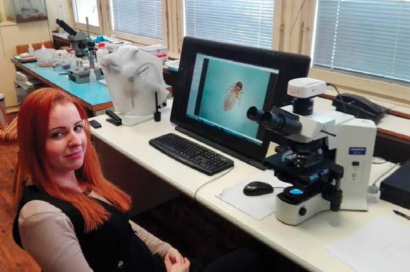 Lucie Ošlejšková v laboratoři drobné, často v řádech několika milimetrů, ale některé druhy můžou mít až kolem 1 cm (např. zástupci rodu Laemobothrion parazitující mj.