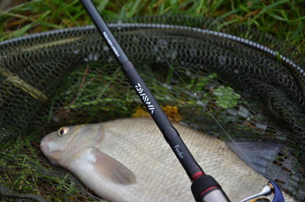 Regal carp Tento model vyplňuje mezeru v nabídce kaprářských prutů společnosti Daiwa. Jedná se o cenově dostupné pruty s vlastnostmi prutů vyšší cenové kategorie.