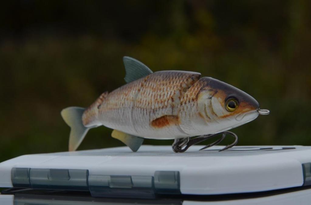 Realfish design Cormoran přichází s fantastickou novinkou realistické přírodní potisky na wobblerech.