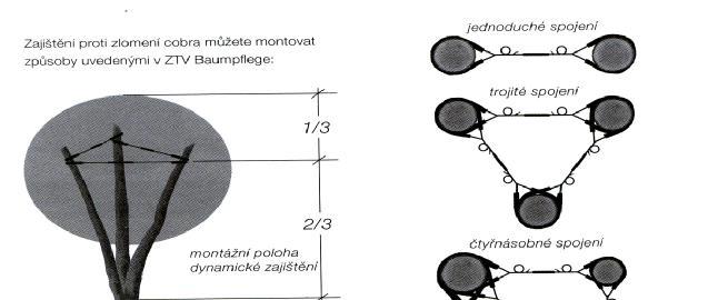 Způsob založení pojistné dynamické vazby Vazby statické Jako vazby statické (biomechanicky nezbytné) se označují takové typy vazeb, které jsou sestavené z konstrukčních materiálů s minimální