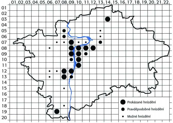 Toto se s neúprosnou pravidelností opakuje po celou dobu pobytu těchto zimních hostů u nás, tj. přibližně od poloviny října do počátku března.
