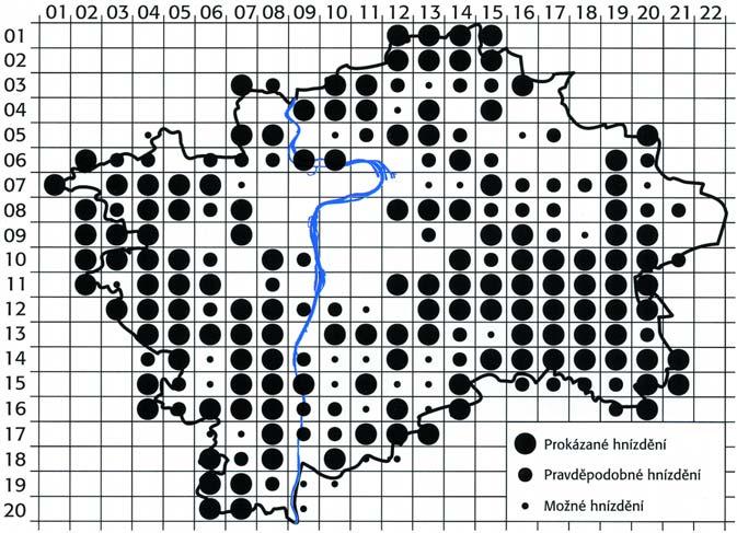Nachází v ní sice vysoké stromy ke hnízdění, ale rozsáhlé plochy chemicky ošetřovaných polních kultur (hlavně řepky a kukuřice) neposkytují možnosti k vyhledávání a sběru potravy.