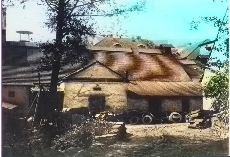 V lese jsou stále patrné propadliny po těžbě, které nalezl p. Z.