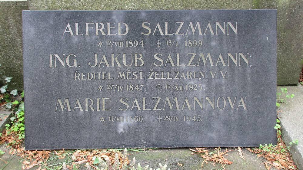zpracovávala v několika železárnách a hamrech. Matěj Salzman s rodinou v době narození všech šesti dětí bydlel v Nové Huti č. p. 22; (min. 1844 1855).