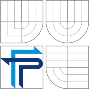 NÁVRH ZMĚN INFORMATION SYSTEM ASSESSMENT AND PROPOSAL OF ICT MODIFICATION DIPLOMOVÁ PRÁCE MASTER S