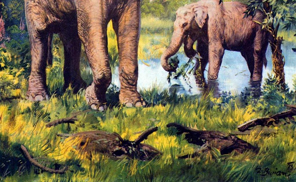 Indricotherium -výška až 4,5 m -váha 15-20 tun