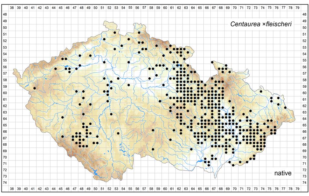 Distribution of Centaurea fleischeri in the Czech Republic Author of the map: Petr Koutecký Map produced on: 06-02-2017 Database records used for producing the distribution map of Centaurea
