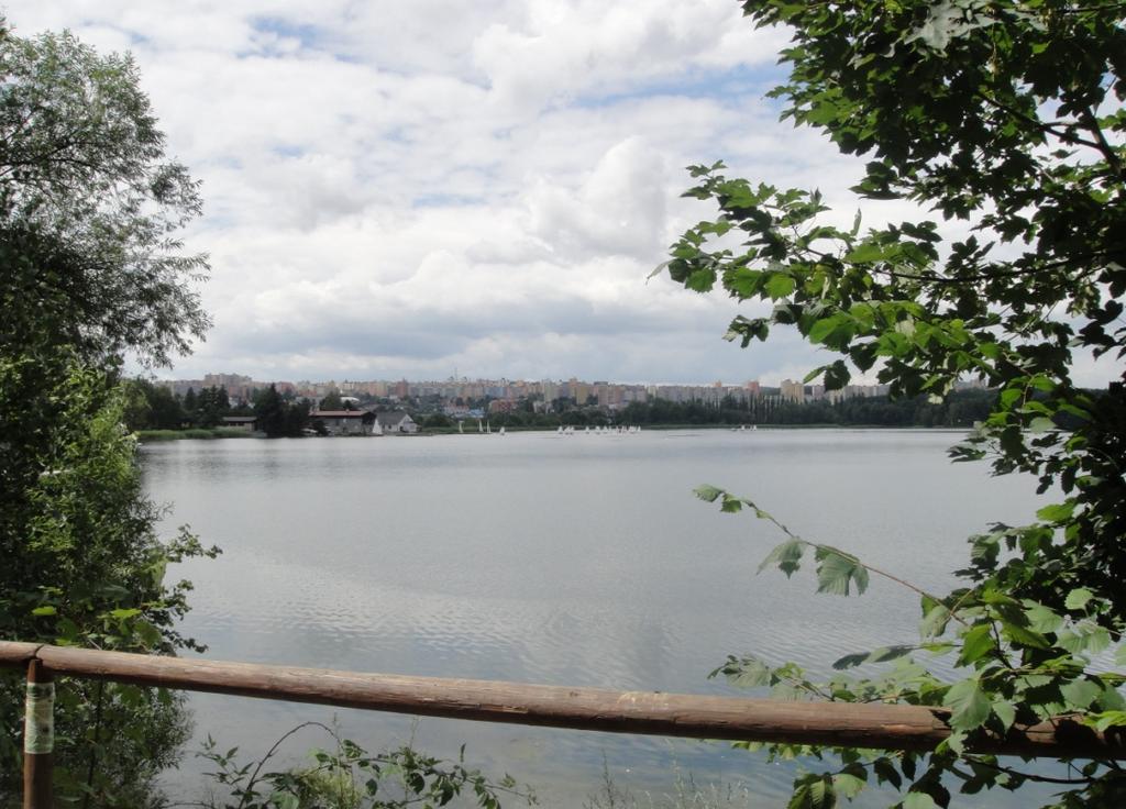 V plzeňském