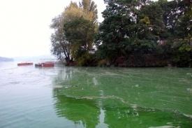 Hlavní problém povrchových vod: EUTROFIZACE: nadbytek živin Jsou hlavní příčinou nitráty z polí a fosfáty z praček?
