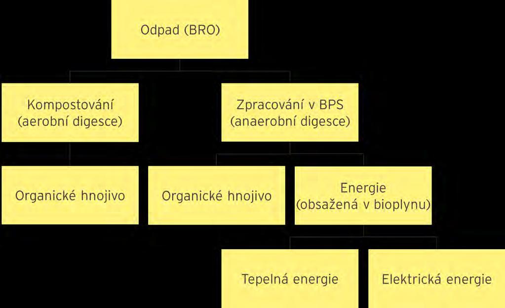 Obrázek č. 1: Mož