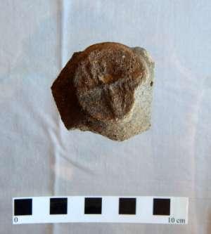 ARS 004/2016 k. ú. Rokle (traťová poloha Za potokem), okr. Chomutov předstihový záchranný archeologický výzkum v souvislosti s těžbou kaolinu Vedoucí výzkumu: Mgr. A.