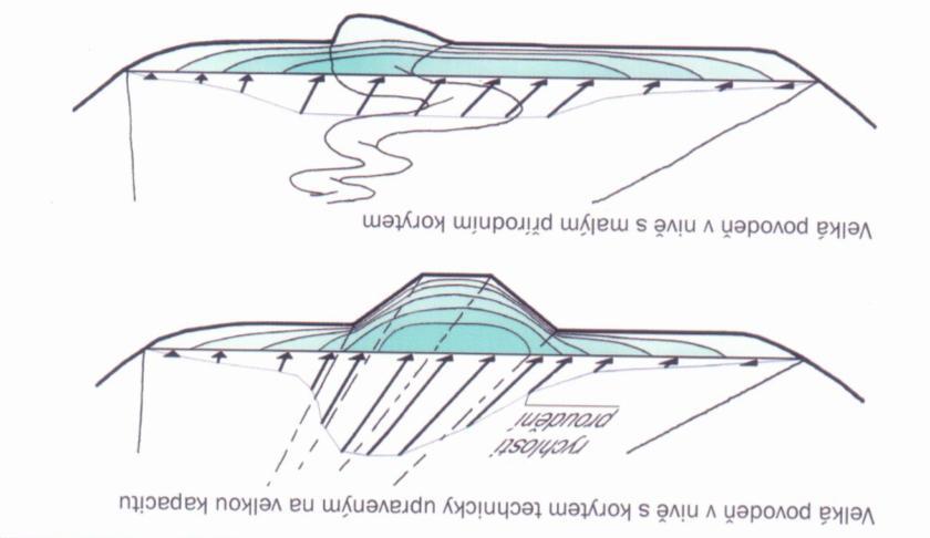Obr. 2 Schematické znázornění rychlostí proudění v nivě během povodně zdroj: Just, 2005, str.