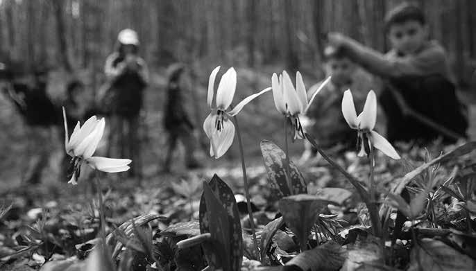 OCHRANA BIODIVERZITY Ochrana biodiverzity Zachování a obnova druhové rozmanitosti, péče o cenné biotopy či podpora ohrožených druhů rostlin a živočichů patří mezi základní poslání
