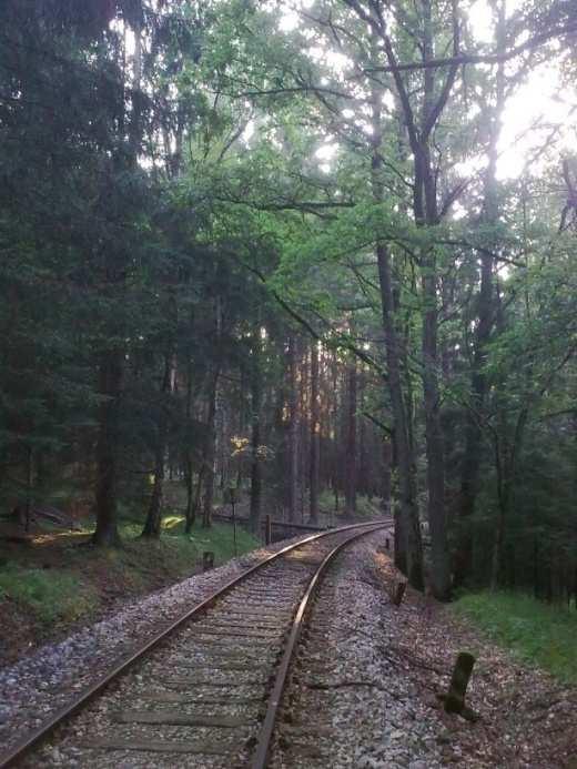 Na obrázku P1 je fotografie měřící antény a částečně okolní prostředí.