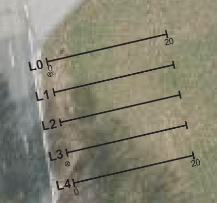 4.1.1. Rozdělení lokality Na této ploše bylo vytyčeno zájmové území o rozloze 20 x 20 m. Vytyčeno bylo 5 rovnoběžných profilů o délce 20 m a vzdálenosti mezi jednotlivými profily 5 m (Obr. 7).