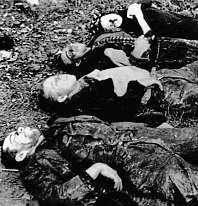 Ploština aprlov, Vizovicko 19. a 23. dubna 1945 Jakoodveta za pomoc partyzánům je v Ploštině a okolí zavražděno a upáleno v hořících domech 28 lidí.