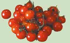 % Cherry paradajky