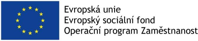 ZPRÁVA O VÝSLEDKU ZAHRANIČNÍ PRACOVNÍ CESTY DO NIZOZEMSKA Termín od 5. 6.