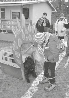 neodmyslitelně patři.
