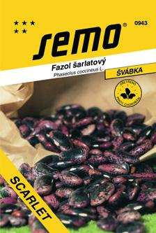švábky. Rostlina kvete až do příchodu prvních mrazů a můžeme sklízet až do pozdního podzimu.