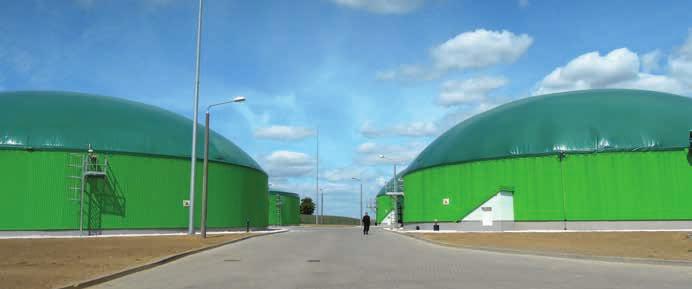 ochranu rostlinných druhů (2011) 100 % = 12,3 t/ha výnos suché hmoty (%) 115 110 105 100 95 90 populační odrůdy 85 80 KWS PROGAS SU DRIVE SU STAKKATO SU PHÖNIX GENERATOR (P) ASKARI VISELLO CONDUCT