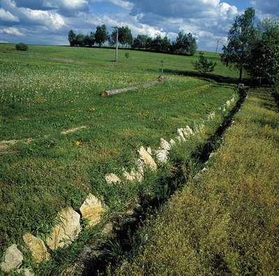 Úbytek či narušení biodiverzity, ztráty ekosystémových služeb - obnova zeleně vysazování původních druhů, především listnatých stromů - více financí na provozní bezpečnost zeleně, rizikové kácení,