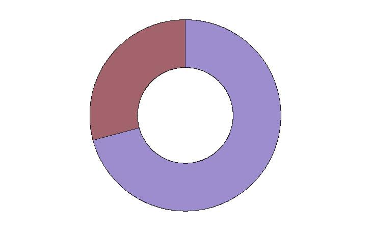 Další zdroje financování - jednotlivé projekty Obrat 2003 (tisíc Kč) NASPA-NISPAcee 78,6 Systematický rozvoj metodologie prognózování 709,0 Ekonomické, sociální a kulturní zdroje vzdělanostních
