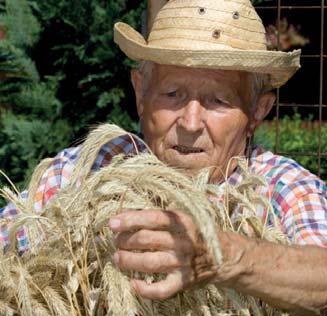 Zlínského kraje 2012 Mistr tradiční rukodělné výroby Zlínského kraje Přírodní pletiva / Pletení ze slámy, orobince, proutí a loubku František Zuska Zlín František Zuska (1937) se narodil jako čtvrtý