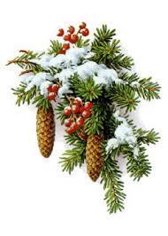 Sýkorové o vánočních svátcích STŘEDA 27. 12. 2017: ČTVRTEK 28. 12. 2017: ORDINACE 12:00 13:00 HOD.