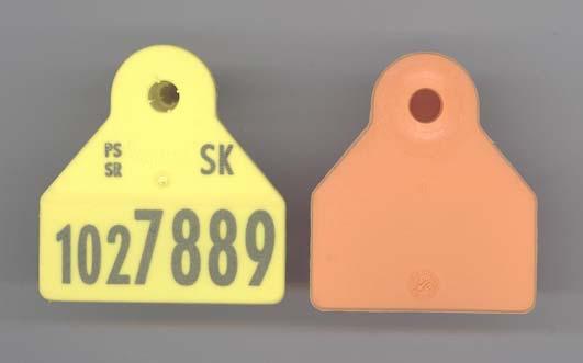 Plastová ušná značka pre ovce a kozy Plastová ušná značka terčík pre ovce, kozy a ošípané Elektronická ušná značka 3.9.