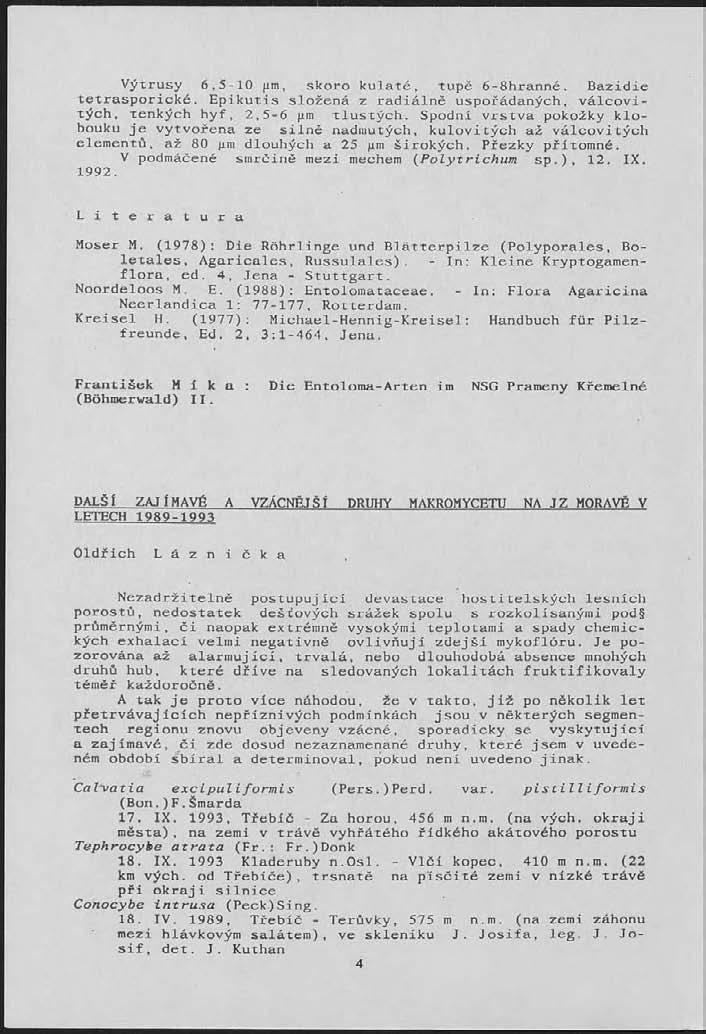 Výtrusy 6,5-10 (im, skoro kulaté, tupě 6-8hranné. Bazidie tetrasporické. Epikutis složená z radiálně uspořádaných, válcovitých, tenkých hyf, 2,5-6 pra tlustých.