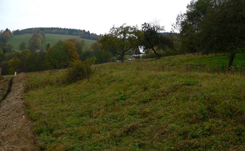 V jihovýchodní části parcely se začíná uplatňovat typ stanoviště 6520 horské trojštětové louky s Aegopodium podagraria (bršlice kozí noha) a dále Heracleum sphondylium (bolševník