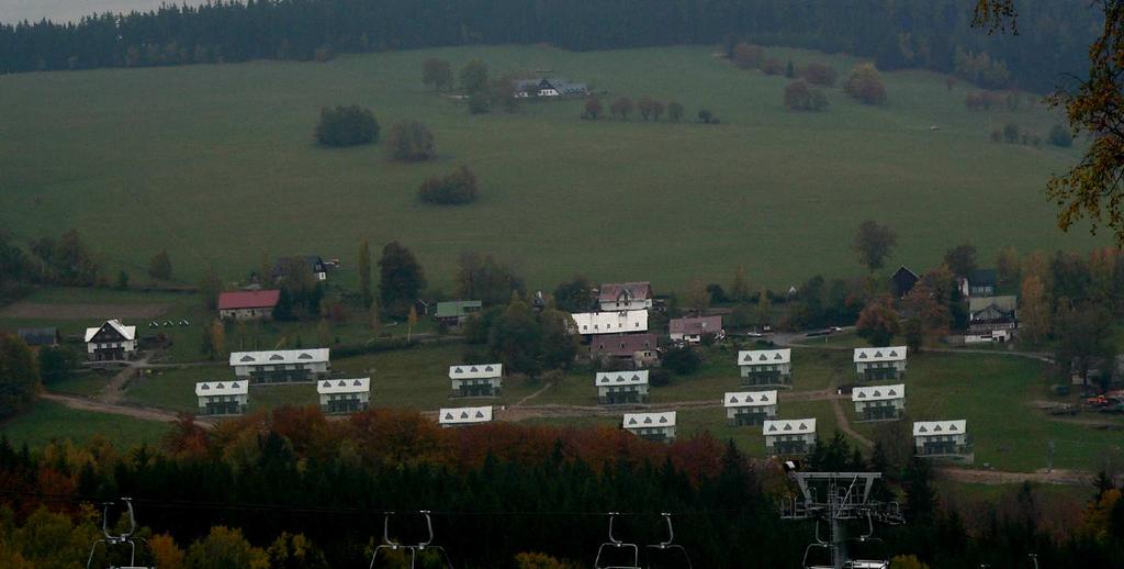 Reprezentativnost stanoviště je snížena, chybí významné diagnostické druhy.