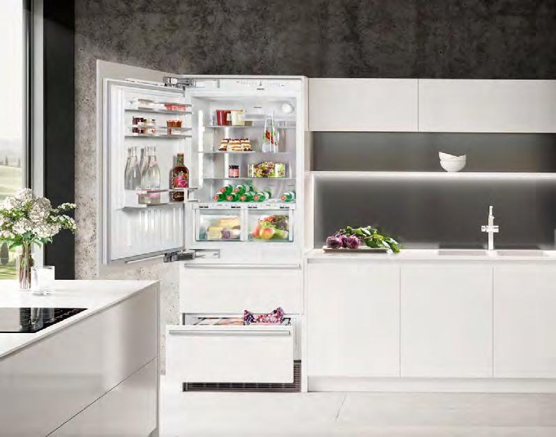 Centrum na skladování potravin určené k integraci 91 203 76 203 ECBN 6156 PremiumPlus ECBN 5066 PremiumPlus ECBN 5066 Pevné dveře / Vestavné spotřebiče pro integrované použití Třída energetické