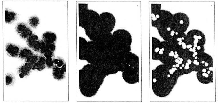 (Eastmann, 2001) Modul BELIEF kombinuje informace ze všech 4 zdrojů a je použit k vytvoření obrazů důvěry, uvěřitelnosti a intervalu důvěry pro