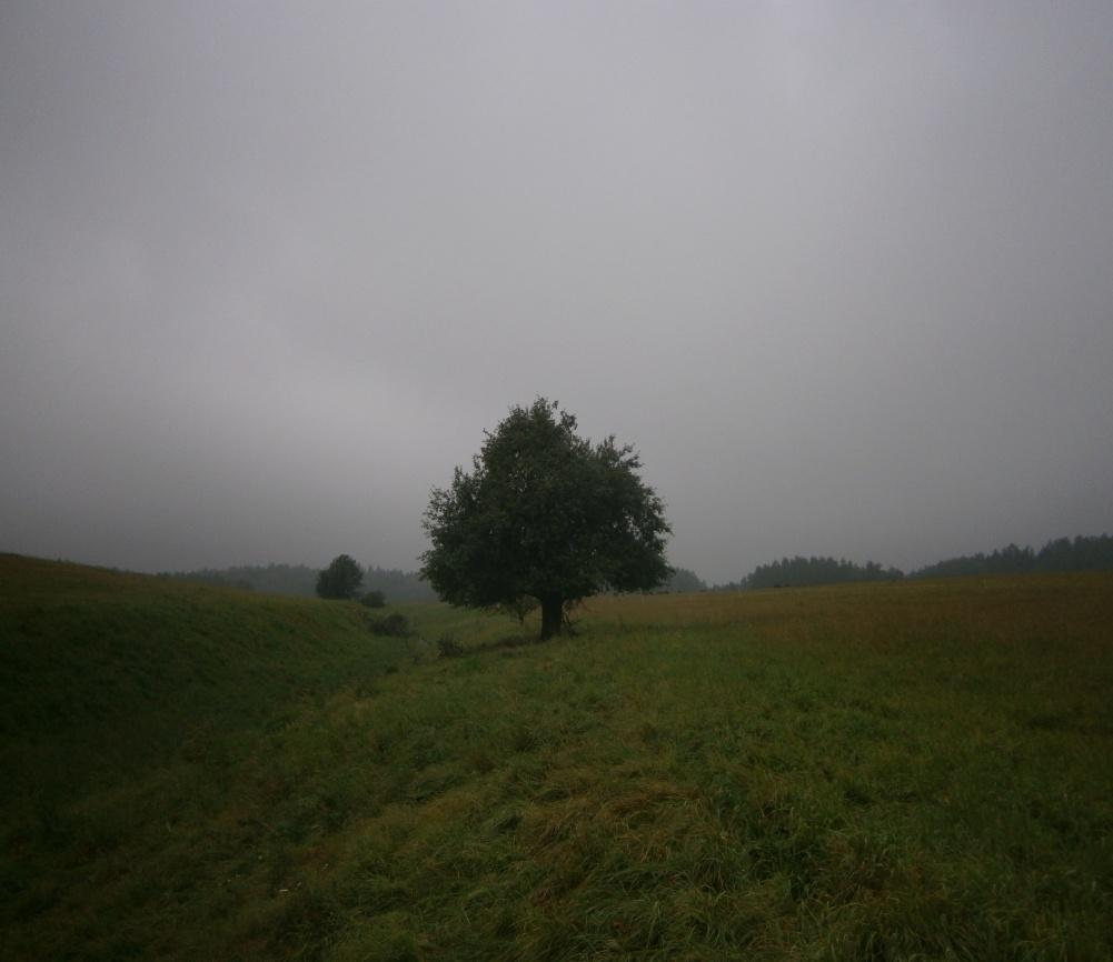 Mapování ovocných dřevin v Geoparku Ralsko lokality zaniklých obcí